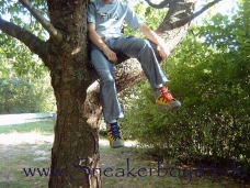 Sneakerboy85 > ClimbingTree
